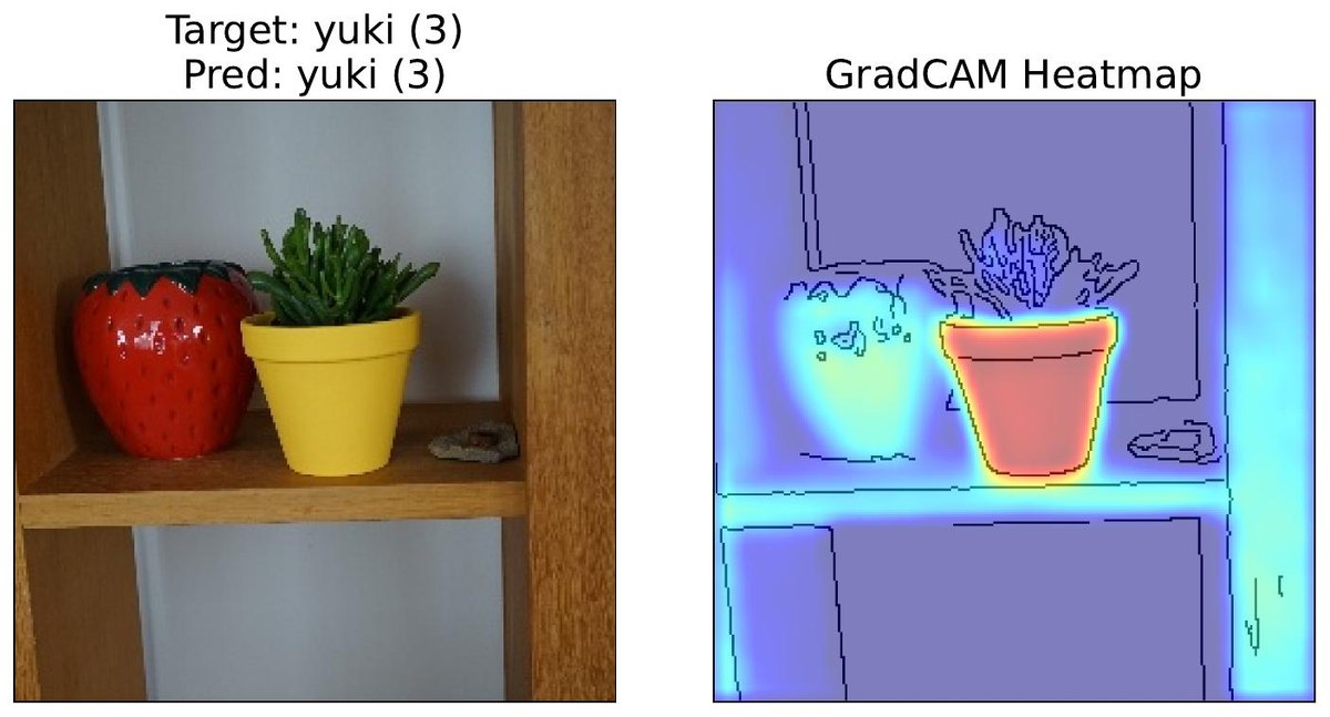 Grad-CAM判断植物时盯的是花盆